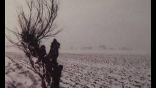 Roffe Wikström - Ett Pilträd / The Weeping Willow