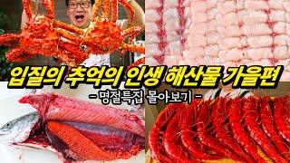 가을에 맛본 '인생 해산물' 몰아보기 통합본