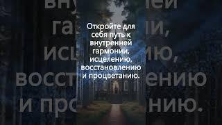 1111 Гц + Солфеджио: Путь к Внутренней Гармонии | Исцеление, Восстановление, Процветание #1111hz