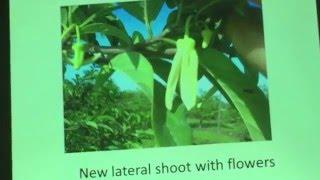 Dr. Jonathan Crane Tropical Fruit Flowering Talk