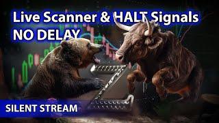 ​Live Scanner  Stock Market scanner - Ze Silent Stream (voice only)  05/13/2024