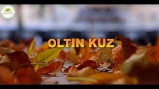 Oltin kuz. Zikrilla Ne’mat she’ri