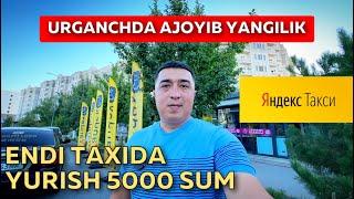 YANDEX TAXI  ENDI URGANCHDA. 5000 SO'M  ARZON TAXI