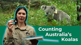 CSIRO National Koala Monitoring Program