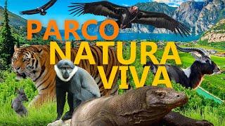 Parco Natura Viva - Safaripark und Zoo am Gardasee | Zoo-Eindruck