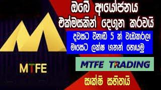 MTFE AI Bot Auto Trading/Review Sinhala 2023