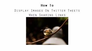 Blogger Tips: How to auto display images when sharing links to Twitter?