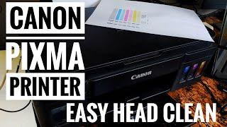 Canon Pixma Not Priniting | Head Cleaning Easy | G3010 G2010 G2012 G3012 Printers InkTank