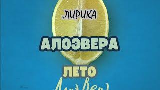 АЛОЭВЕРА - ЛЕТО | ЛИРИКА (ТЕКСТ ПЕСНИ)