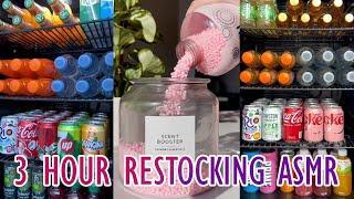 3 Hour ⏳ASMR  CLEANING 🫧 RESTOCKING  ORGANIZING  TIKTOK COMPILATION 