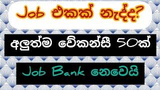 2024/06/09 මේ ජොබ් ටිකට ඉක්මනට කතා කරල බලන්න | 2024 new job vacncy |jobs in srilanaka |jobs sinhala