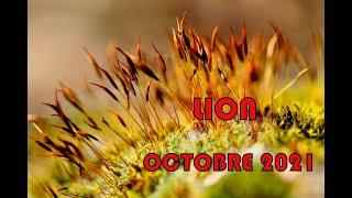 LION - OCTOBRE 2021