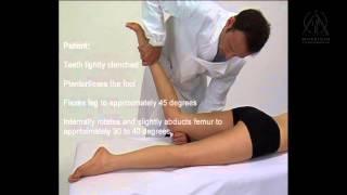 Applied Kinesiology - Manual Muscle Testing: Gracilis