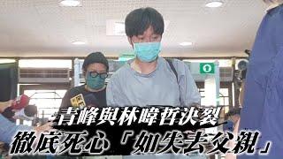 38歲吳青峰見謝馨儀被告悲訴徹底死心　與林暐哲決裂「如失去父親」　 | 台灣新聞 Taiwan 蘋果新聞網