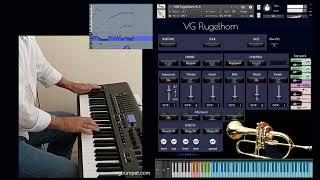 VG Flugelhorn sample library for NI Kontakt. Brass vst plugin and wav. Articulations, keyswitches.