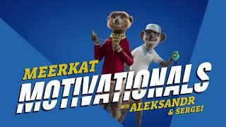 comapre the market / meerkat advert [1080p HD]