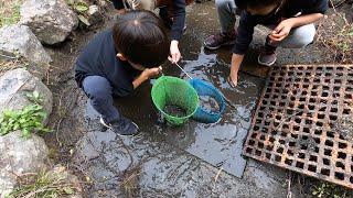 山奥で見つけた謎のマスの中に潜んでいた生物とは・・・