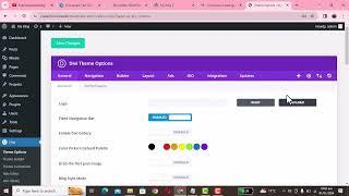 How to change logo size in divi wordpress website