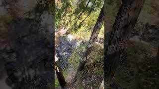 A view from the scenic overlook at Mine Kill Falls, Schoharie Valley, NY #shorts