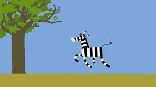 Animanimals: Zebra