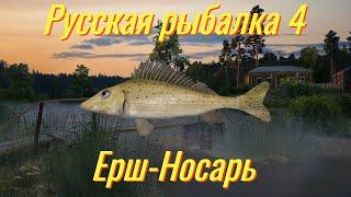 Русская рыбалка 4 • р. Вьюнок ерш носарь • рр4 от ЧокопайТВ