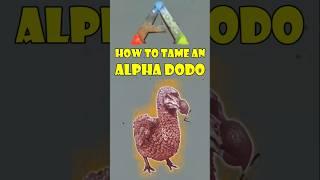 alpha dodo 