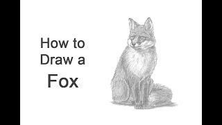 How to Draw a Fox (Sitting)