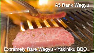 Rare A5 Rank Ishigaki Wagyu Beef - Yakiniku Style [2021]