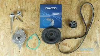 DAYCO Timing Belt - EN