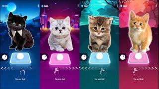 CUTE CATS WEDNESDAY LADY GAGA BLOODY MARY and BLACKPINK LISA MONEY and JISOO FLOWER and WELLERMAN