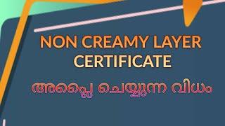 Non Creamy Layer Certificate/ LDC/ LGS / ഡോക്യുമെന്റ് എങ്ങനെ അപ്ലോഡ് ചെയ്യാം / Keralapsc