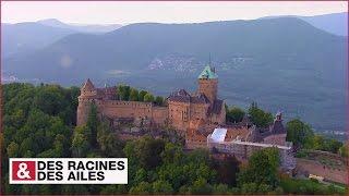 Ces châteaux qui protègent la plaine d'Alsace