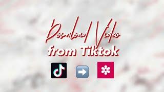 How To Download Tiktok Videos through Telegram Bot (Easy&Fast)