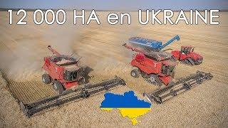  MOISSON XXL en UKRAINE sur 12 000 ha chez AGRO KMR | CTF 