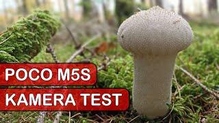 Poco M5S Kamera Test