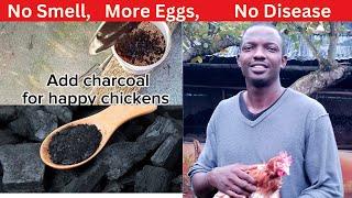 Benefits Of Charcoal For Chicken: How Much To Add And Preparation...