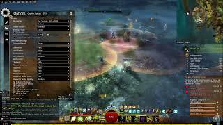 GW2 | How to REDUCE LAG in Option Settings - Beginner's Guide 2023