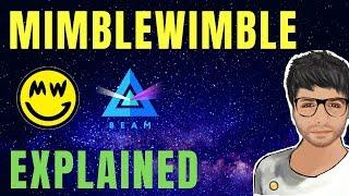 MimbleWimble Protocol Explained and Grin vs Beam Coin - Hindi