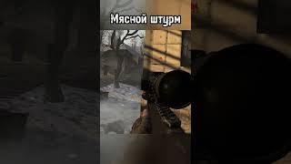 Мясо в Лиманске #shorts #stalkeranomaly