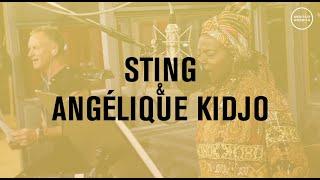 Preview: Sting & Angelique Kidjo sing "One World" for Meditate America Benefit Concert