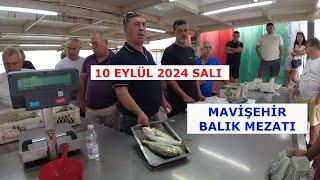 10 EYLÜL 2024 SALI. MAVİŞEHİR BALIK MEZATI. PAZERTESİ HARİÇ HERGÜN 09:00 DA CANLI YAYINDAYIM.