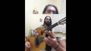 shadmehr persian melody#shadmehr#guitarist#guitar#bestguitar#guitartutorial