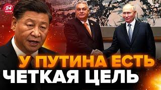 Вот зачем ПУТИН приехал в КИТАЙ / Это вопрос МИЛЛИАРДОВ / Си пойдет на это? @TIZENGAUZEN