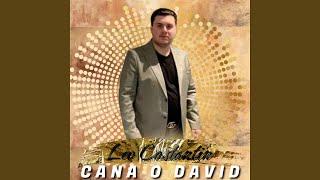 CANA O DAVID