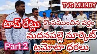 26-12-24 Madanapalle Tomato Market price Today || Today Tomato Market Rate in Madanapalle #today