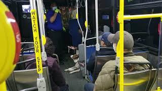 ignorant people riding the bus in Los Angeles.