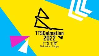 TTSD "Birmingham 2022 Styled" Logo (28/7/2022)