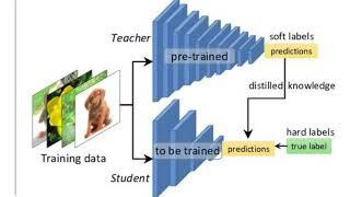 Knowledge Distillation in Deep Learning - DistilBERT Explained