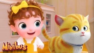 Baby Cat Song + more Kids Songs & Nursery Rhymes
