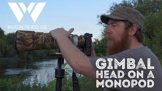 Gimbal Heads on Monopods for Wildlife Photography